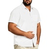 image:imageBig and Tall Mens Hawaiian Shirt Short Sleeve Button Down Shirts Summer Beach Tops with PocketWhite